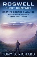 Cover: Roswell - Beiersoftware