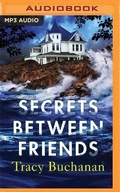 Cover: Secrets Between Friends - Brilliance Audio
