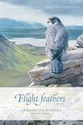 Cover: Flight Feathers - Wayfarer Books