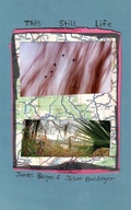 Cover: This Still Life - Kung Fu Treachery Press