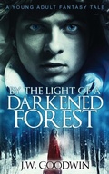 Cover: By The Light of a Darkened Forest - Next Chapter