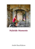 Cover: Hybride Momente - epubli