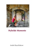 Cover: Hybride Momente - epubli