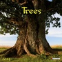 Cover: Trees 2023 - Tushita PaperArt GmbH