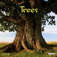 Enlarge image Cover: Trees 2023 - Tushita PaperArt GmbH