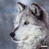 Enlarge image Cover: Wolves 2023 - Tushita PaperArt GmbH