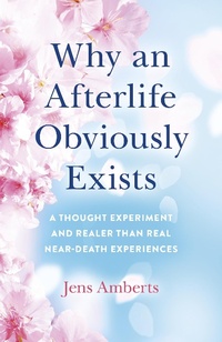 Abbildung von: Why an Afterlife Obviously Exists - Collective Ink