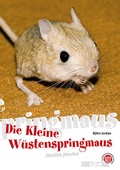 Bild: Die Kleine Wüstenspringmaus - Natur und Tier