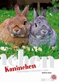 Bild: Kaninchen - Natur und Tier