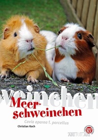 Abbildung von: Meerschweinchen - Natur und Tier