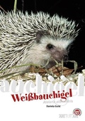 Bild: Weißbauchigel - Natur und Tier