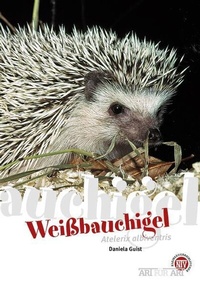 Abbildung von: Weißbauchigel - Natur und Tier