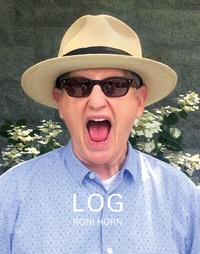 Enlarge image Cover: LOG - Steidl