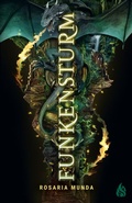 Cover: Funkensturm - Arctis