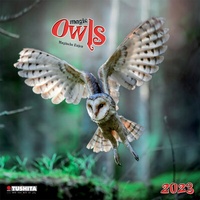 Enlarge image Cover: Magic Owls 2023 - Tushita PaperArt GmbH