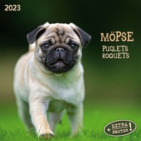 Enlarge image Cover: Möpse 2023 - Tushita PaperArt GmbH