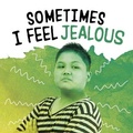 Cover: Sometimes I Feel Jealous - Raintree