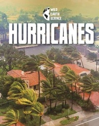 Enlarge image Cover: Hurricanes - Raintree