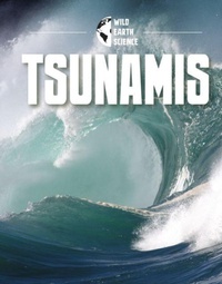 Enlarge image Cover: Tsunamis - Raintree