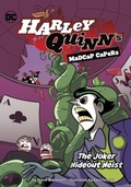 Cover: The Joker Hideout Heist - Raintree