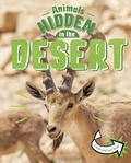 Cover: Animals Hidden in the Desert - Raintree