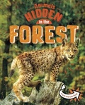 Cover: Animals Hidden in the Forest - Raintree