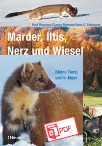 Bild: Marder, Iltis, Nerz und Wiesel - Haupt Verlag
