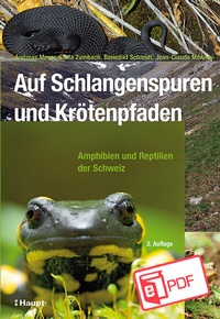 Abbildung von: Auf Schlangenspuren und Krötenpfaden - Haupt Verlag