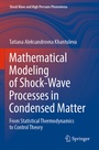 Cover: Mathematical Modeling of Shock-Wave Processes in Condensed Matter - Springer