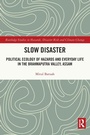 Cover: Slow Disaster - Routledge
