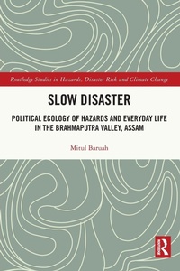 Enlarge image Cover: Slow Disaster - Routledge