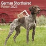 Bild: German Shorthaired Pointer - Deutsch Kurzhaar 2023 - 16-Monatskalender - Avonside Publishing Ltd