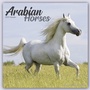 Bild: Arabians - Araber - Araber Pferde 2023 - 16-Monatskalender - Avonside Publishing Ltd