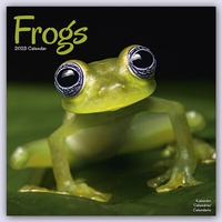 Abbildung von: Frogs - Frösche 2023 - 16-Monatskalender - Avonside Publishing Ltd