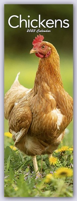 Abbildung von: Chickens - Hühner 2023 - Avonside Publishing Ltd