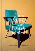 Cover: Im Dunkeln gekritzelt - Hanser