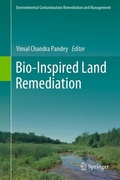 Cover: Bio-Inspired Land Remediation - Springer