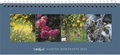 Cover: Landlust Garten-Kontraste 2023 - Landwirtschaftsverlag