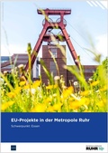 Cover: EU-Projekte in der Metropole Ruhr - Regionalverband Ruhr
