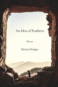 Cover: An Idea of Feathers - Blue Sketch Press