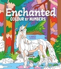 Cover: Enchanted Colour by Numbers - Arcturus