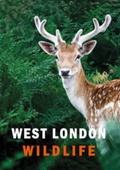 Cover: West London Wildlife - Supernova Books