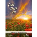 Cover: Lass Trost sein - mediaKern