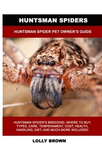 Abbildung von: Huntsman Spiders - Nrb Publishing