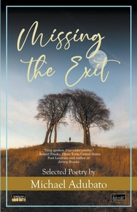 Abbildung von: Missing the Exit - Broken Keys Publishing