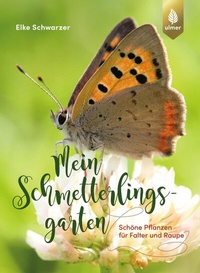 Abbildung von: Mein Schmetterlingsgarten - Verlag Eugen Ulmer