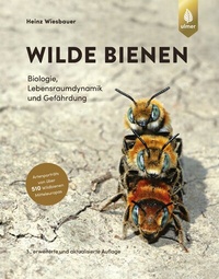 Abbildung von: Wilde Bienen - Verlag Eugen Ulmer