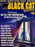 Cover: Black Cat Weekly #30 - Wildside Press