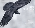 Cover: Der Kolkrabe - Totenvogel, G&ouml;tterbote, tierisches Genie - Haupt Verlag