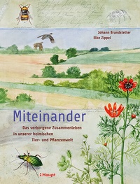 Abbildung von: Miteinander - Haupt Verlag